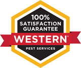 Satisfaction Guarantee